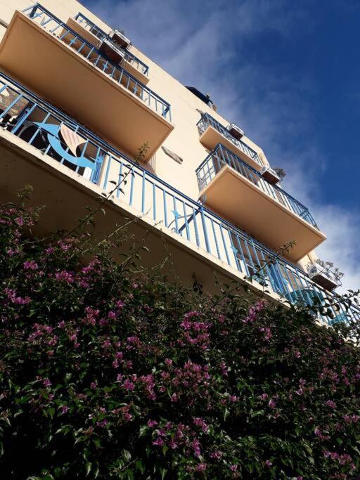 Banyuls La Grande Bleue : Studio T1 Exteriér fotografie