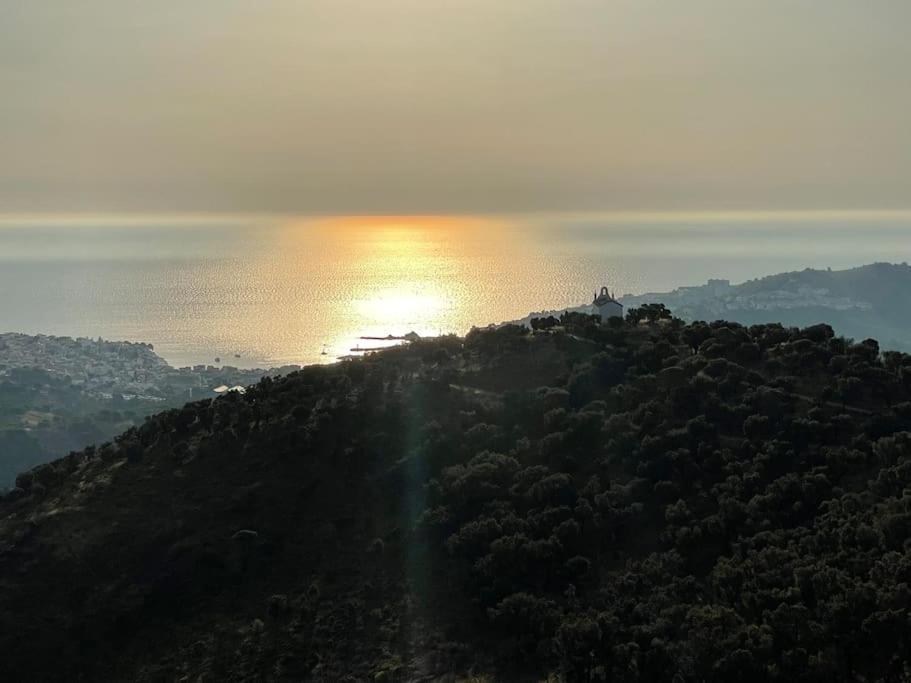 Banyuls La Grande Bleue : Studio T1 Exteriér fotografie